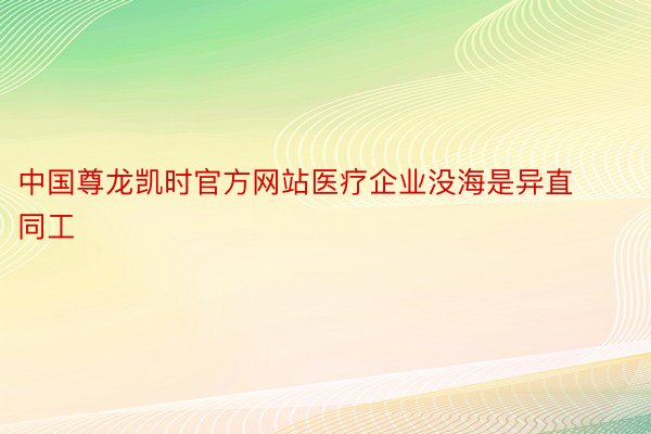中国尊龙凯时官方网站医疗企业没海是异直同工