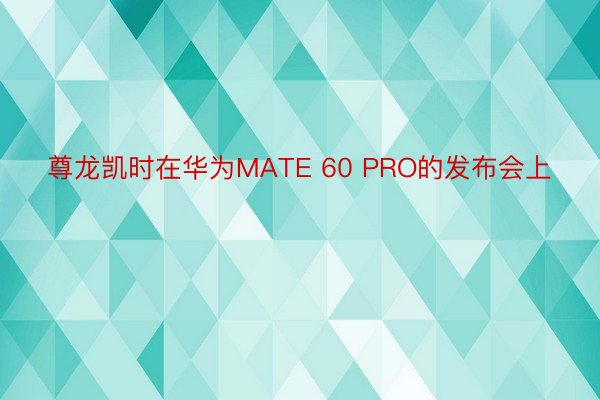 尊龙凯时在华为MATE 60 PRO的发布会上